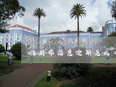 信用非恶意逾期怎么办 信用非恶意逾期怎么办