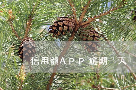信用额APP逾期一天 信用额APP逾期一天