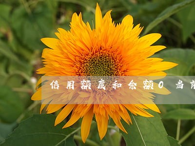 信用额度和余额0当前无逾期 信用额度和余额0当前无逾期