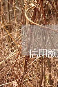 信用额度和已使用额度逾期金额 信用额度和已使用额度逾期金额