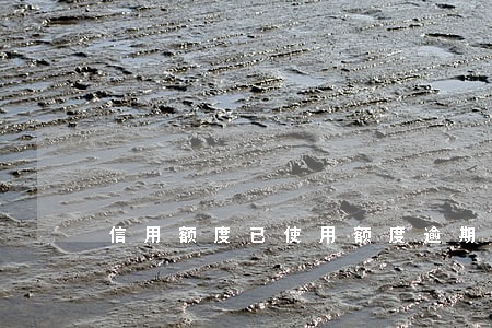 信用额度已使用额度逾期金额 信用额度已使用额度逾期金额