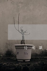 信用额度逾期5个月了怎么办 信用额度逾期5个月了怎么办
