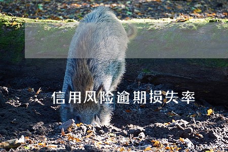 信用风险逾期损失率