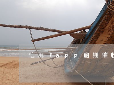 信用飞app逾期催收 信用飞app逾期催收