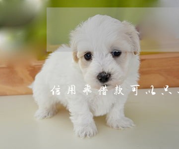 信用飞借款可以只还本金吗 信用飞借款可以只还本金吗