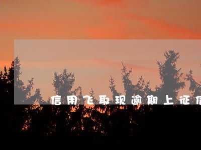 信用飞取现逾期上征信吗 信用飞取现逾期上征信吗