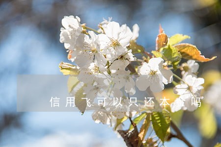 信用飞可以只还本金吗 信用飞可以只还本金吗