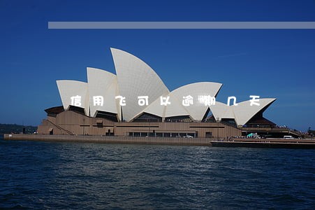 信用飞可以逾期几天 信用飞可以逾期几天