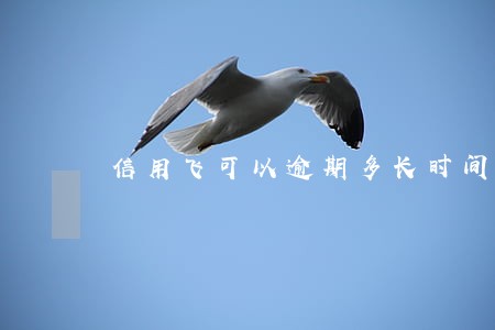 信用飞可以逾期多长时间 信用飞可以逾期多长时间