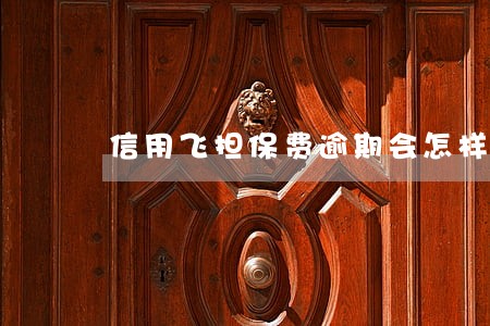 信用飞担保费逾期会怎样