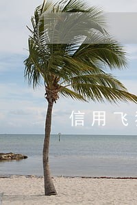 信用飞猪逾期3个月 信用飞猪逾期3个月