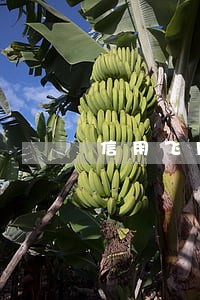 信用飞网贷逾期会上门吗 信用飞网贷逾期会上门吗