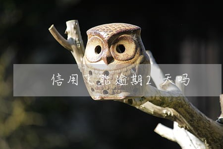 信用飞能逾期2天吗 信用飞能逾期2天吗