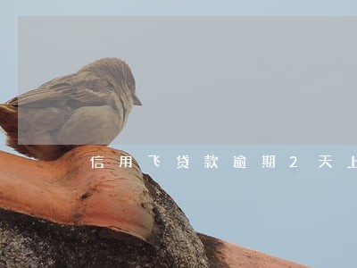 信用飞贷款逾期2天上征信吗 信用飞贷款逾期2天上征信吗
