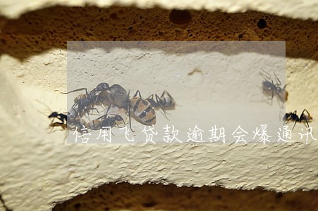 信用飞贷款逾期会爆通讯录 信用飞贷款逾期会爆通讯录
