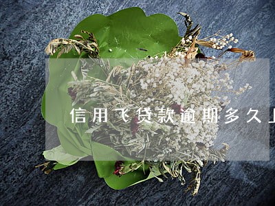 信用飞贷款逾期多久上征信 信用飞贷款逾期多久上征信