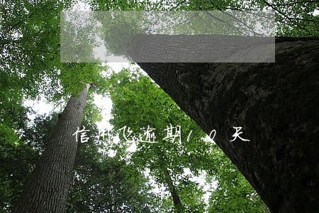 信用飞逾期10天 信用飞逾期10天