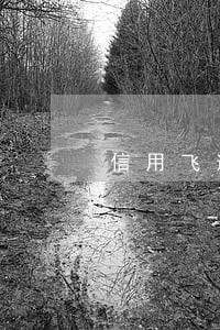 信用飞逾期1天 信用飞逾期1天