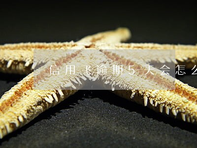 信用飞逾期5天会怎么样 信用飞逾期5天会怎么样
