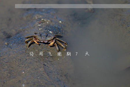 信用飞逾期7天 信用飞逾期7天