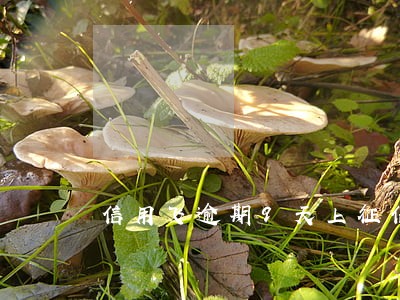 信用飞逾期9天上征信嘛 信用飞逾期9天上征信嘛
