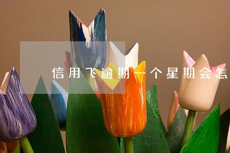 信用飞逾期一个星期会怎么样 信用飞逾期一个星期会怎么样