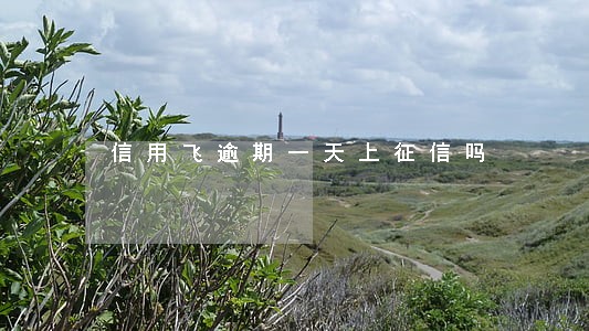 信用飞逾期一天上征信吗 信用飞逾期一天上征信吗