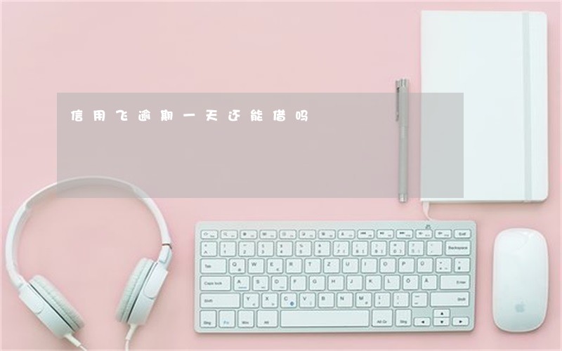 信用飞逾期一天还能借吗 信用飞逾期一天还能借吗