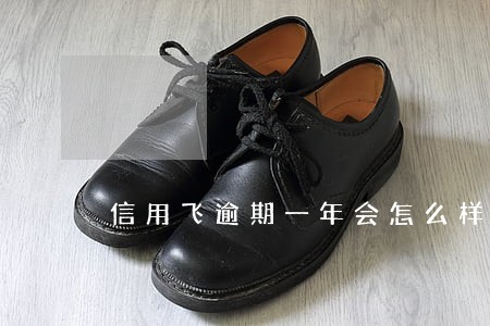 信用飞逾期一年会怎么样 信用飞逾期一年会怎么样