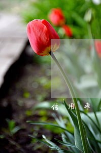 信用飞逾期一次还能借吗 信用飞逾期一次还能借吗