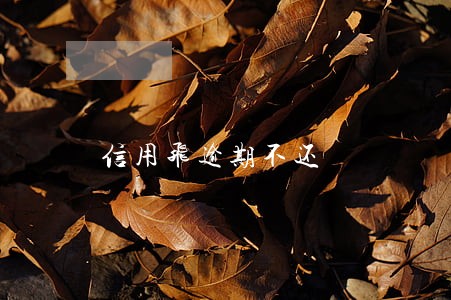 信用飞逾期不还 信用飞逾期不还
