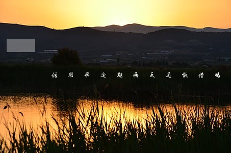 信用飞逾期两天还能借吗 信用飞逾期两天还能借吗