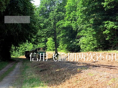 信用飞逾期两次还可以贷吗 信用飞逾期两次还可以贷吗
