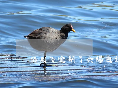信用飞逾期了会爆通讯录吗 信用飞逾期了会爆通讯录吗