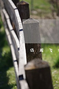 信用飞逾期催收电话