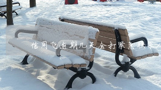 信用飞逾期几天会打紧急联系人 信用飞逾期几天会打紧急联系人