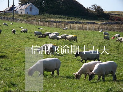 信用飞逾期十五天 信用飞逾期十五天