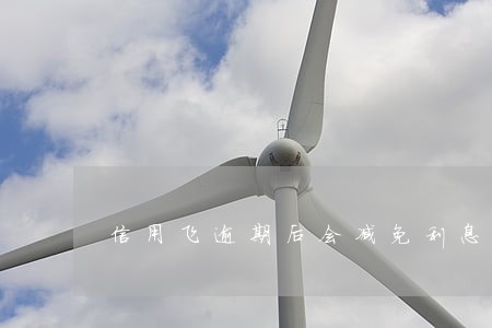 信用飞逾期后会减免利息吗 信用飞逾期后会减免利息吗