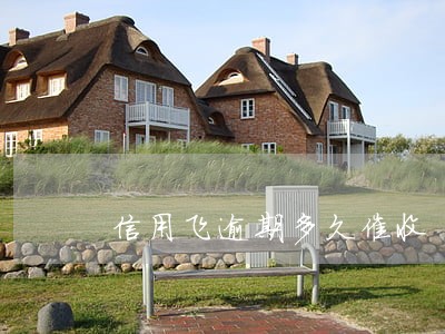 信用飞逾期多久催收 信用飞逾期多久催收