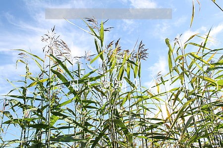 信用飞逾期怎么不催收了 信用飞逾期怎么不催收了