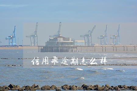 信用飞逾期怎么样 信用飞逾期怎么样