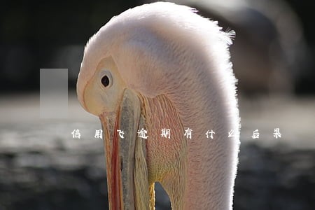 信用飞逾期有什么后果 信用飞逾期有什么后果