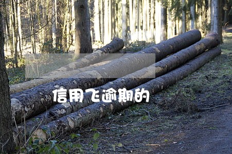 信用飞逾期的 信用飞逾期的