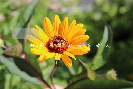 信用飞逾期辱骂家人 信用飞逾期辱骂家人