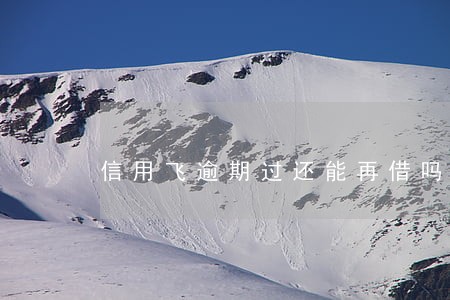 信用飞逾期过还能再借吗 信用飞逾期过还能再借吗