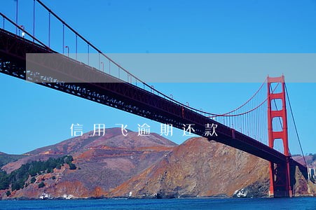 信用飞逾期还款