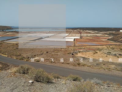 信用飞逾期还款怎么样 信用飞逾期还款怎么样