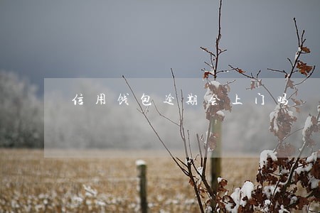 信用饯包逾期会上门吗 信用饯包逾期会上门吗