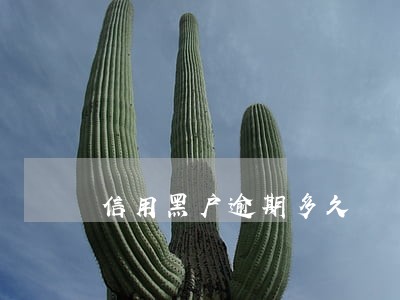 信用黑户逾期多久 信用黑户逾期多久