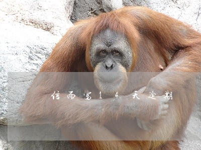 信而富14天逾期